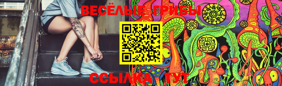 Ивантеевка  Галлюциногенные грибы Cubensis  Псилоцибиновые грибы ЛСД  Вход с VPN 