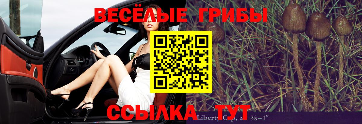 Галлюциногенные грибы GOLDEN TEACHER Ивантеевка